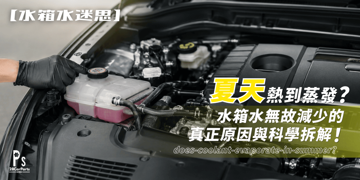 【水箱水迷思】夏天熱到蒸發？水箱水無故減少的真正原因與科學拆解！